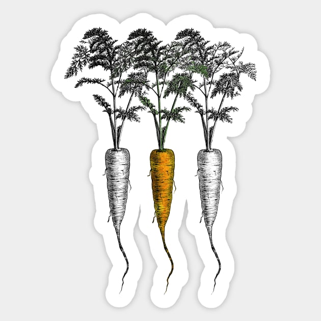 Three Carrots - The Root of all Vegetables Sticker by The Blue Box